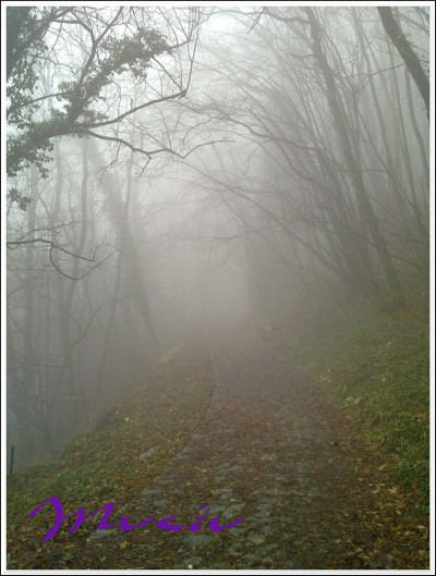 una strada lastricata